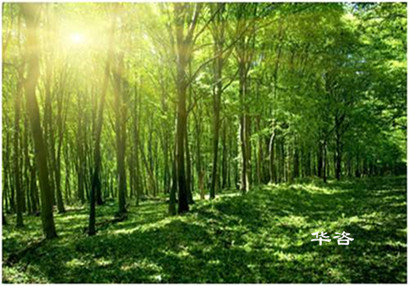 【最新】湖南省加強和規范建設項目使用林地審核審批管理工作的通知 【最新】湖南省加強和規范建設項目使用林地審核審批管理工作的通知