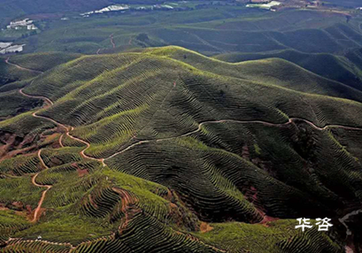 湖南永州藍山公路項目水土保持方案(水保)順利通過專家評議 湖南永州藍山公路項目水土保持方案(水保)順利通過專家評議