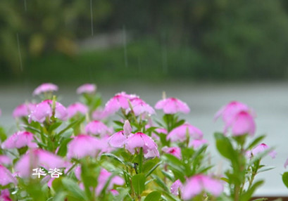 環評_華咨環保機構_第三方專業航評公司_湖南長沙華咨環保公司專業的技術單位 環評_華咨環保機構_第三方專業航評公司_湖南長沙華咨環保公司專業的技術單位