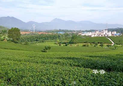 華咨生態(tài)鏈企業(yè)又增一員大將，實現(xiàn)生態(tài)環(huán)境技術服務全覆蓋